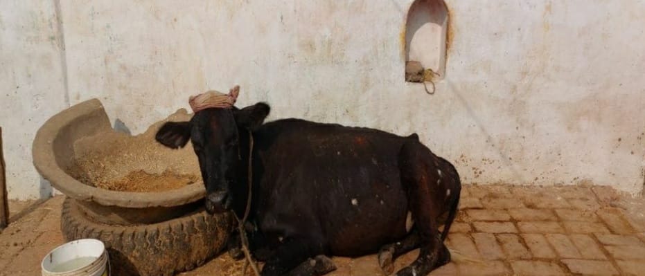 (Manendragarh CG)