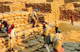छत्तीसगढ़ धान खरीदी/Chhattisgarh paddy purchase/रिपब्लिक एक्सप्रेस न्यूज/republic express news/cg dhan kharidi news
